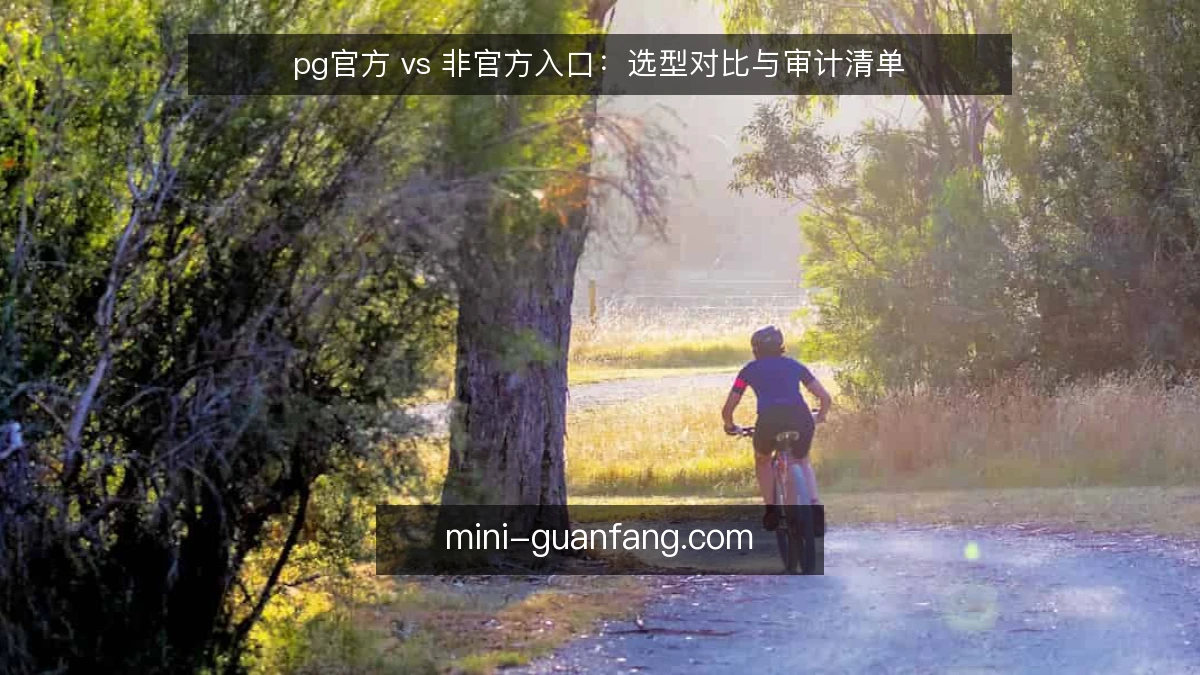 pg官方 vs 非官方入口：选型对比与审计清单