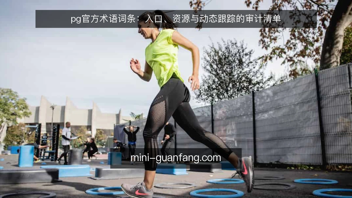 pg官方术语词条：入口、资源与动态跟踪的审计清单