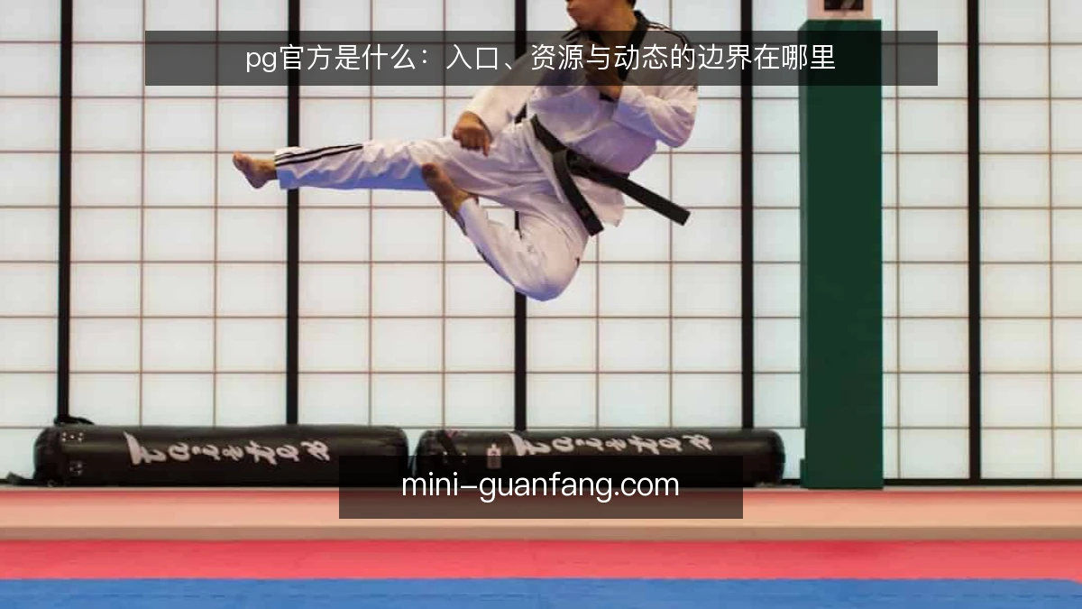 pg官方是什么:入口、资源与动态的边界在哪里