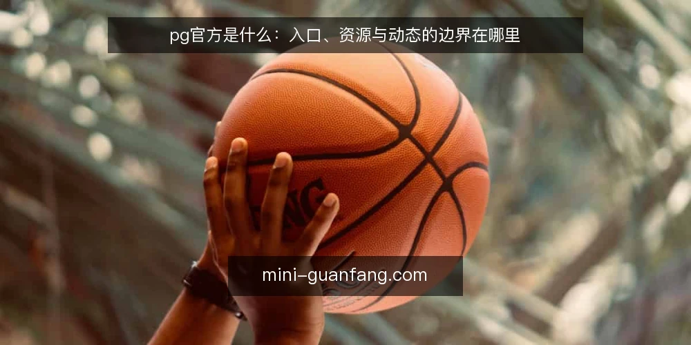 pg官方是什么:入口、资源与动态的边界在哪里 — 先弄清pg官方指什么 配图