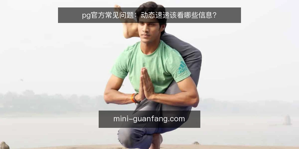 pg官方常见问题:动态速递该看哪些信息? — pg官方动态速递到底指什么? 配图